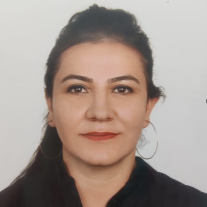 Dr. Aysegul Toy